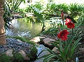 Pond, sound of running water - Meditation gardens: Yogananda Self-Realization Fellowship, Encinitas, California
