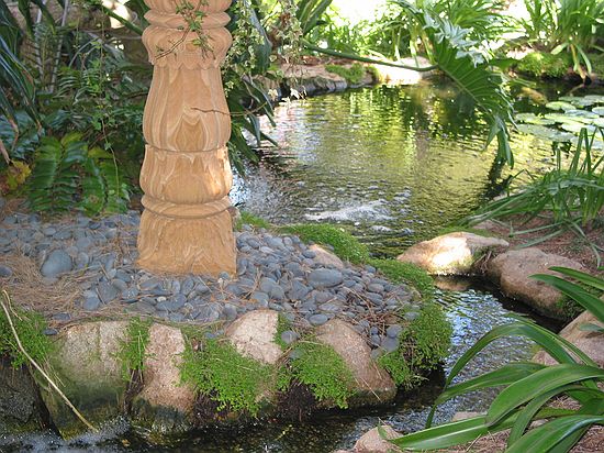 Koi fish pond near babbling brook - Meditation gardens: Yogananda Self-Realization Fellowship, Encinitas, California