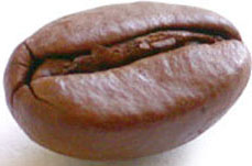 Coffee bean, used to make espresso, cappuccino, latte