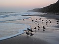 Can you see Sharon standing off to the right? - Crystal Cove State Park, Laguna Beach