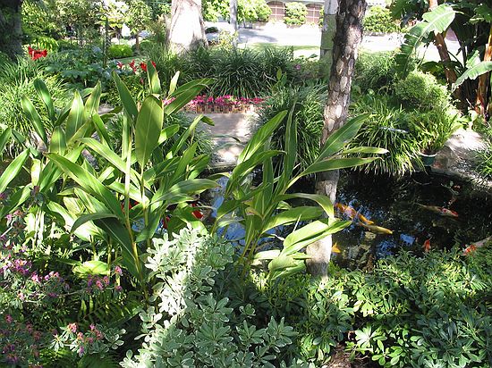 Koi fish pond - Meditation gardens: Yogananda Self-Realization Fellowship, Encinitas, California