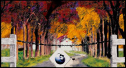 Autumn Colors