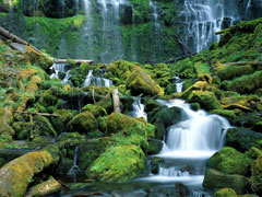 Cascade