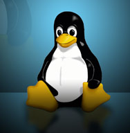 Linux Penguin